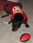 Maddie wearing Chiefs outfit\nAugust 2007