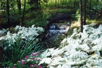 Waterfall at Powell Gardens 1995